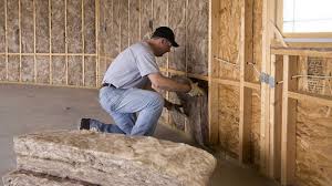 Trusted Bayou Cane, LA Insulation Services Experts